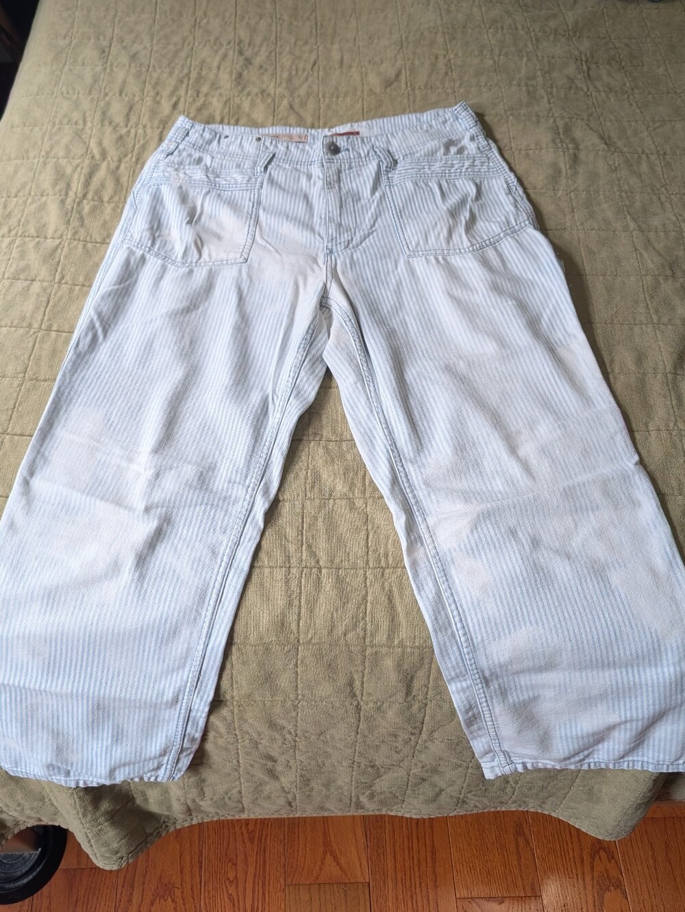 Anthropologie Pilcro Railroad Stripe Carpenter Jeans 30